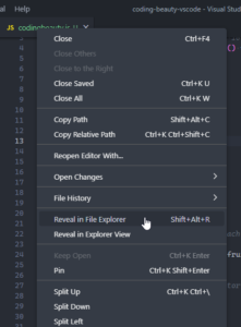How to Quickly Reveal the Current File in Explorer in VS Code
